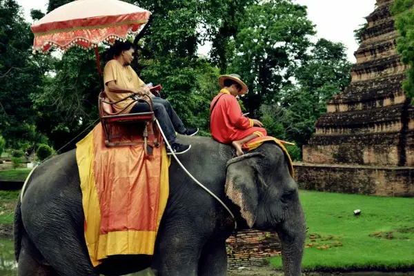 Elephant Village Experience: Ayutthaya's Cultural Insight
