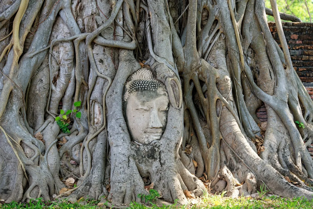 Wat Mahathat Ayutthaya - Ancient Ruins & Tree-Entwined Buddha Head
