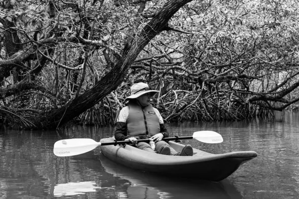 Kayaking Through Mangroves - Ko Lanta's Unique Eco-Tourism Adventure