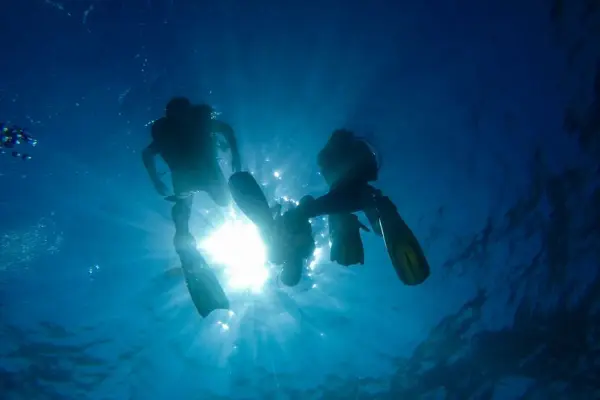 Koh Rok Snorkeling Day Trip from Ko Lanta Island, Thailand