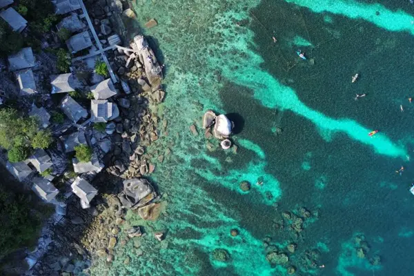 Koh Tao Snorkeling Day Trip from Koh Samui - A Complete Guide