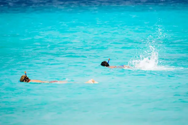 Snorkel in Crystal Clear Waters at Shark Bay, Koh Tao
