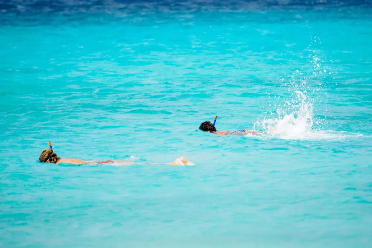 Snorkel in Crystal Clear Waters at Shark Bay, Koh Tao